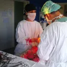 Dr. Dana-Maria Popescu