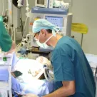 Dr. Samuel Daniel Iancu
