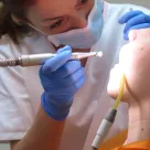 Dr Oana Georgiana Florea